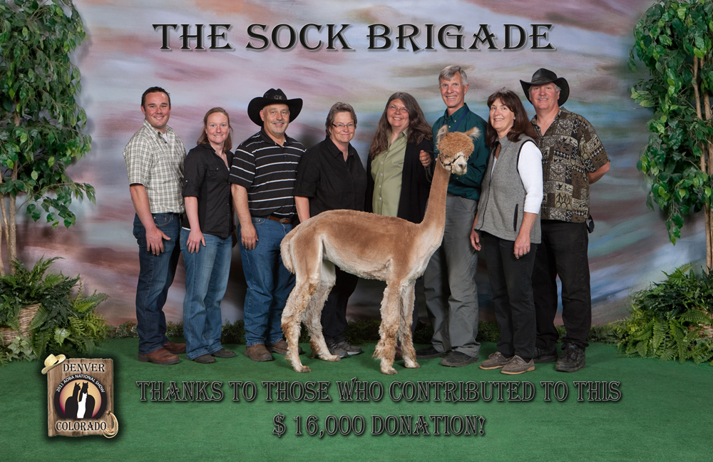 $16k was raised for Sock Brigade